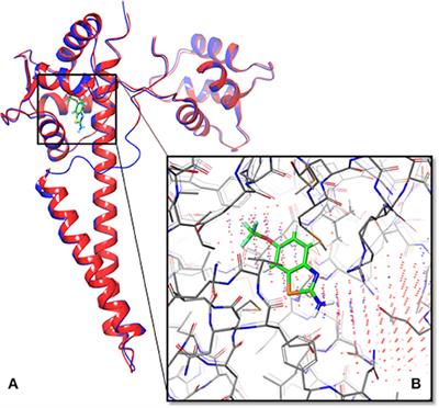 A Pilot Study of All-Computational Drug Design Protocol–From Structure Prediction to Interaction Analysis